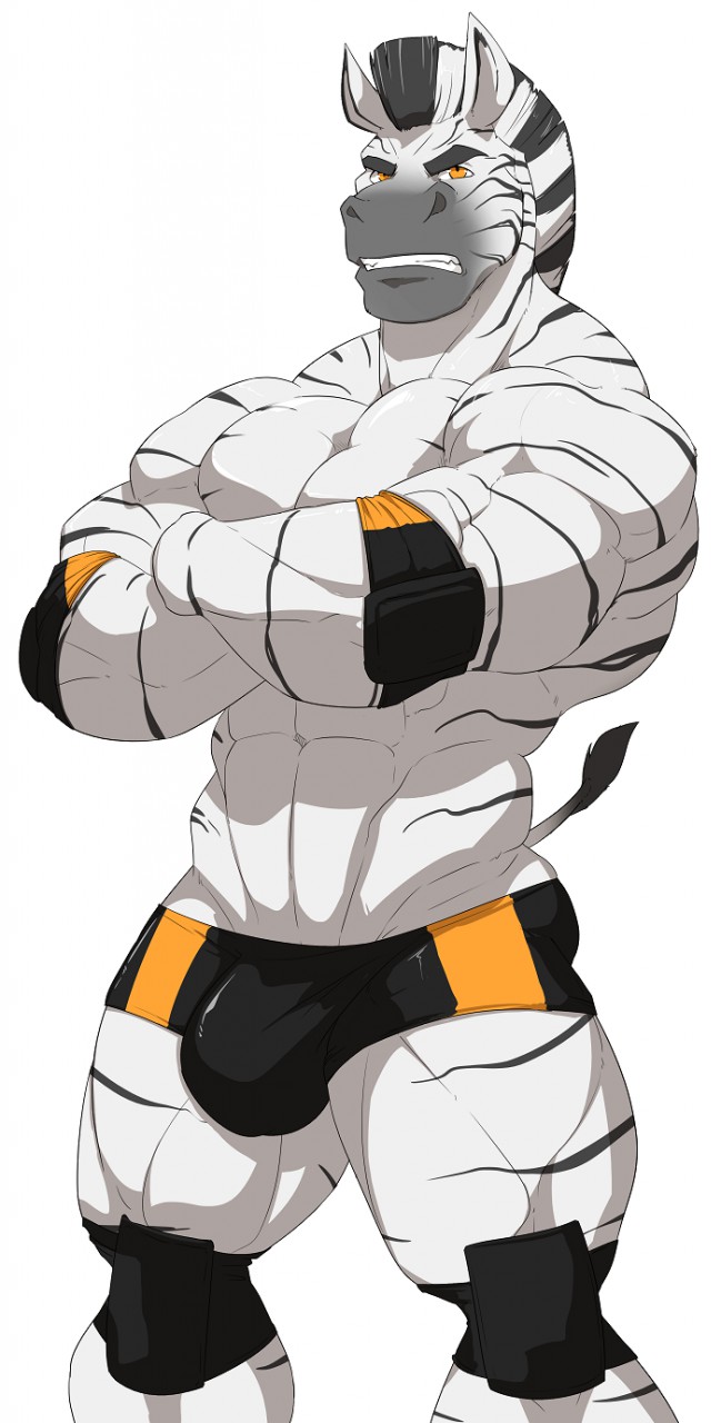 Braford Patreon