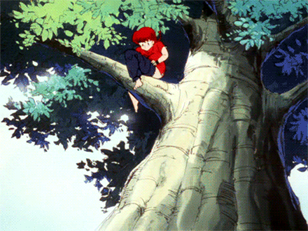 The Big ImageBoard (TBIB) - animated animated gif genderswap ranma-chan
