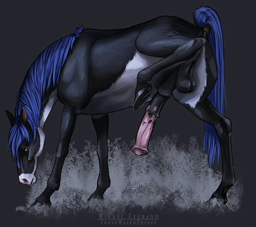 Feral Couples Stallion Delights
