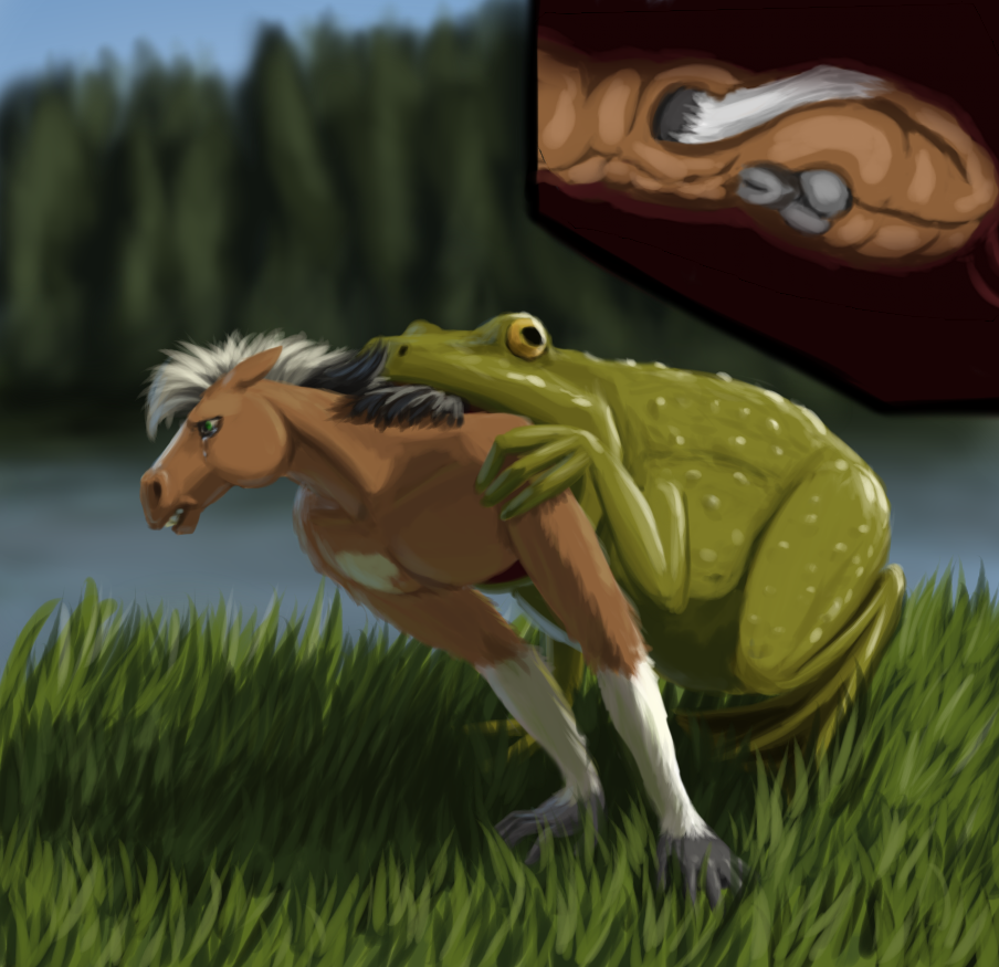 The Big ImageBoard (TBIB) - amphibian anthro equine feral fr