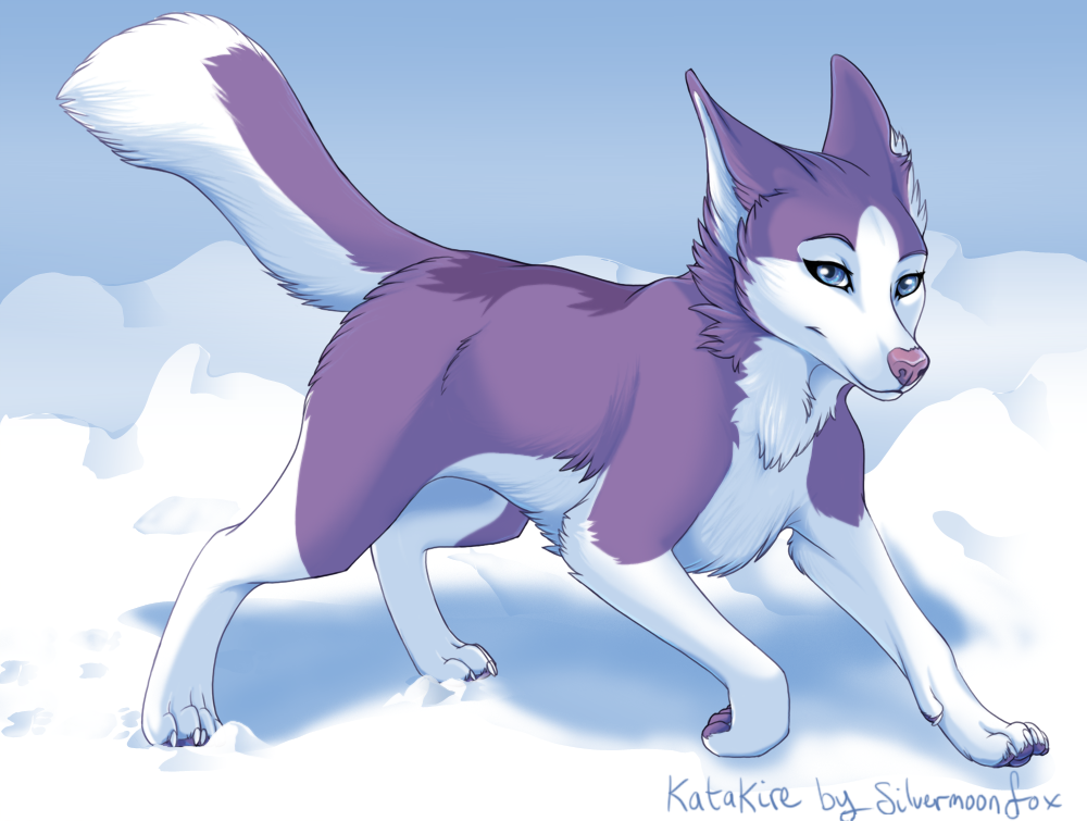 ферал волк. Feral female dogs. Feral female dogs. ферал дог. хаски ферал.