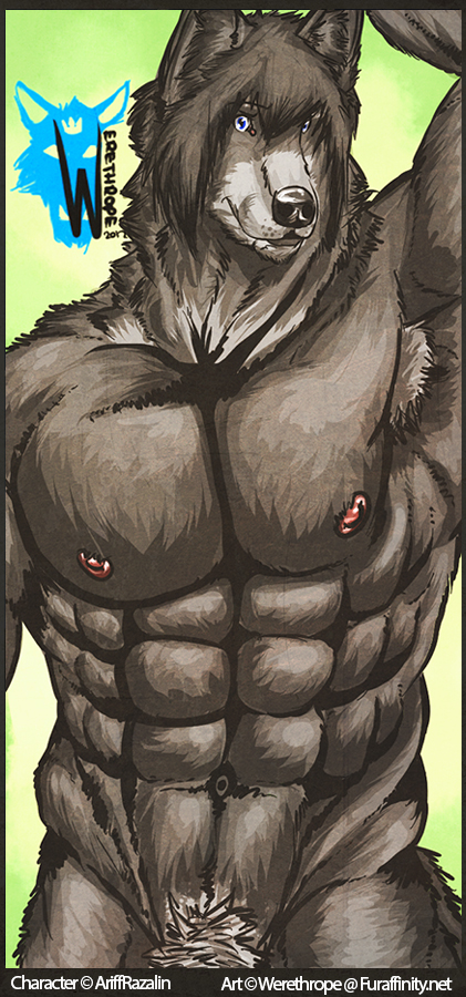 The Big ImageBoard (TBIB) - arrwulf black fur black nose fur male muscular ...