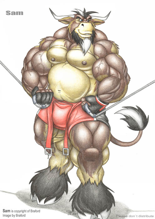 Braford Patreon