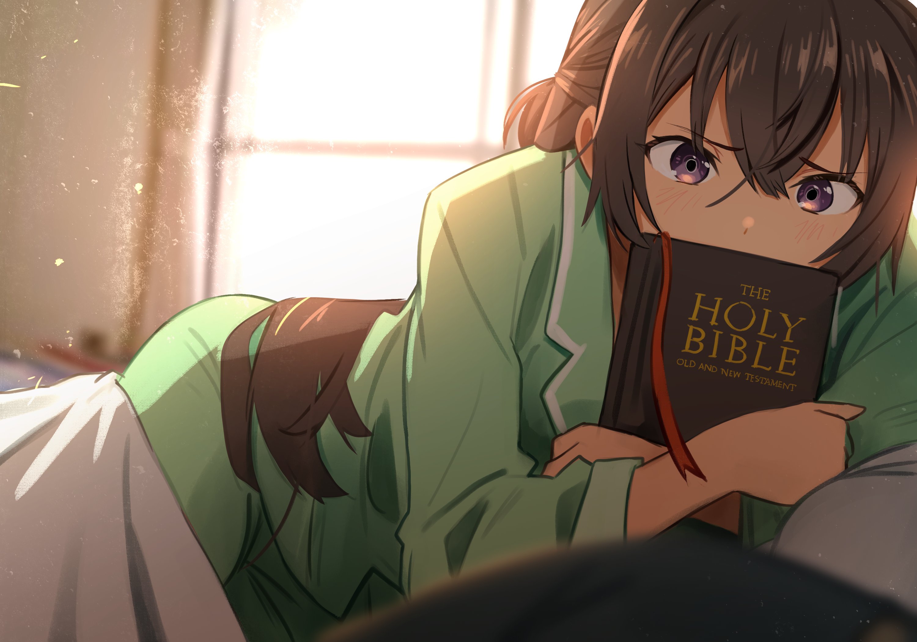 The Big ImageBoard (TBIB) - 1girl bible (object) book brown hair ...