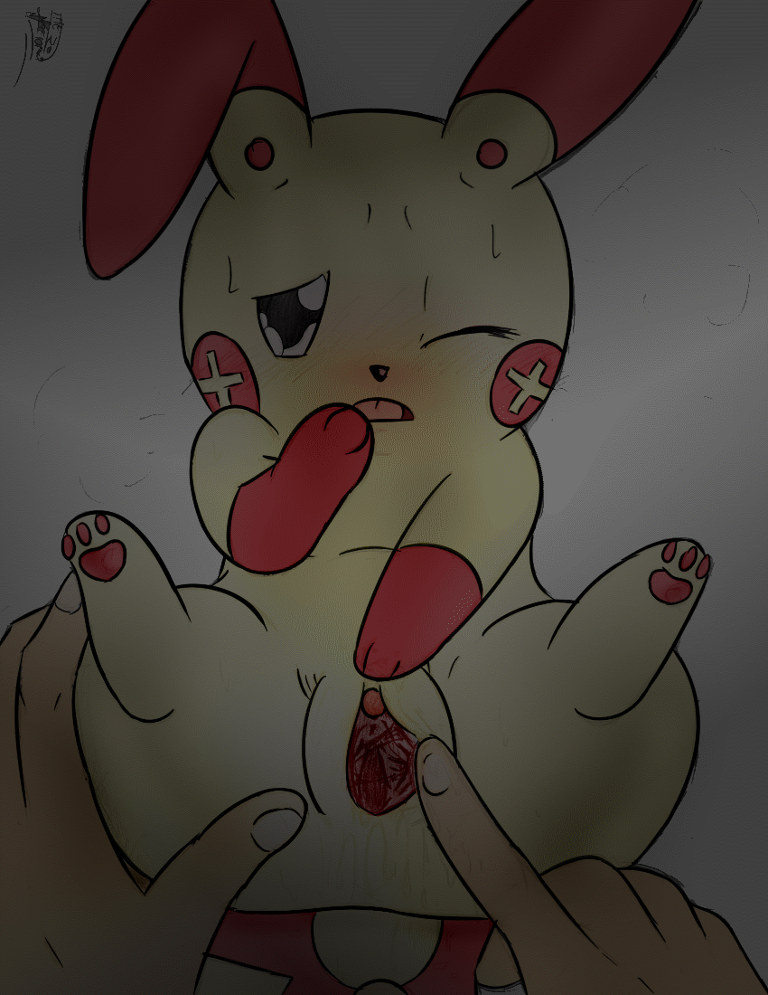 Plusle Hentai
