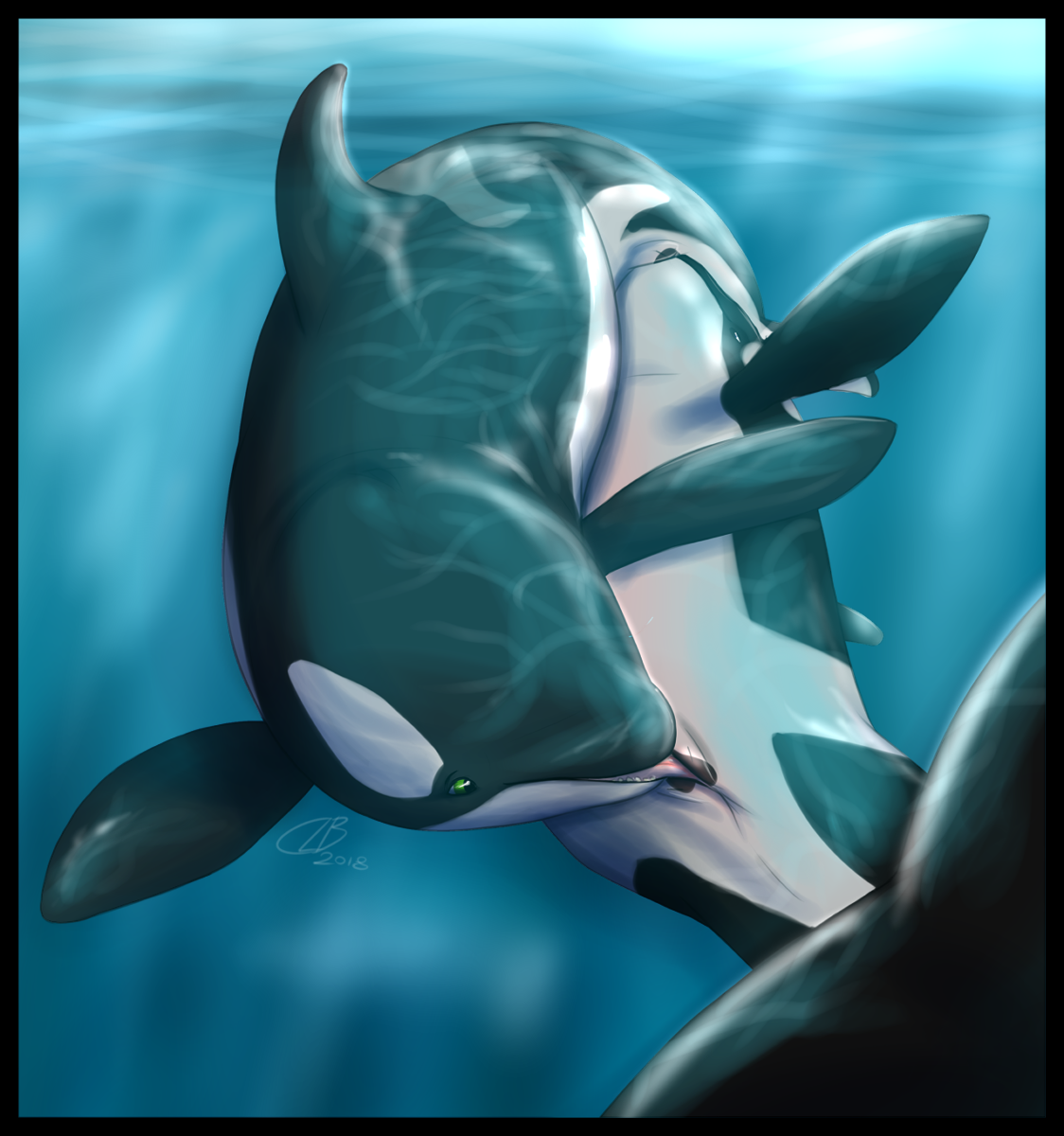 Slideshow whale rule 34.