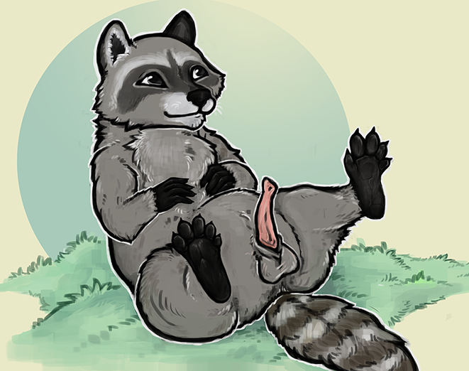 Hairy raccoon paws his junk and talks