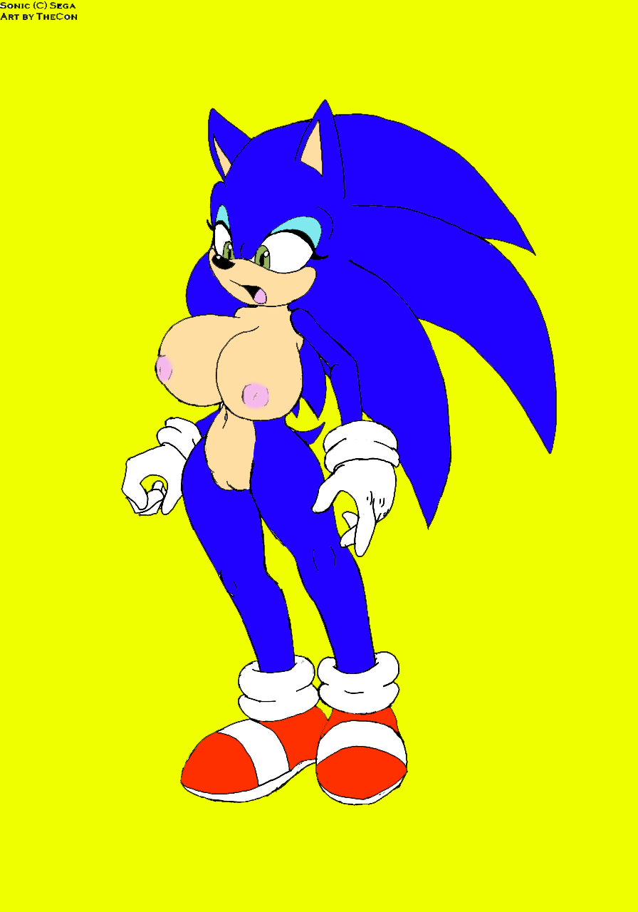 Sonic Rule 63 Hentai