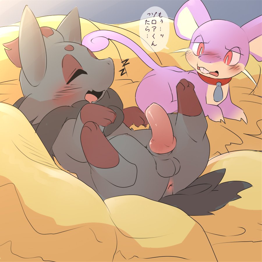 Zorua Hentai