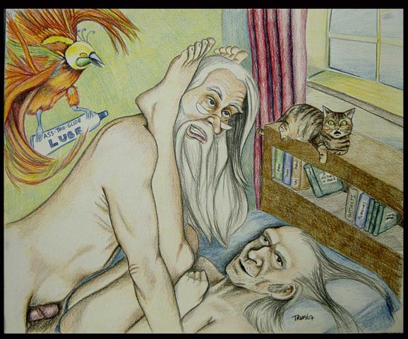 albus_dumbledore anal argus_filch cat harry_potter mrs.norris phoenix tripp...