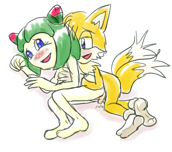 cosmo_the_seedrian housyasei_san seedrian sonic_team sonic_x tails.