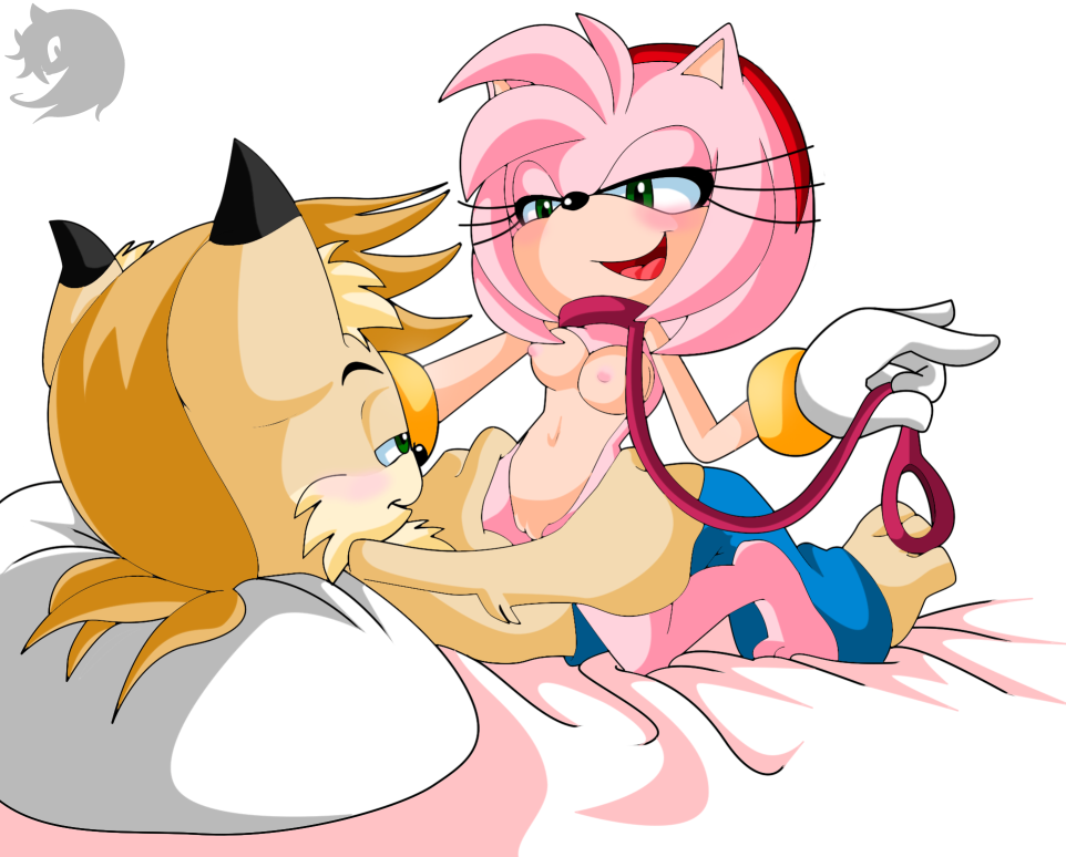 Amy Rose Ehentai