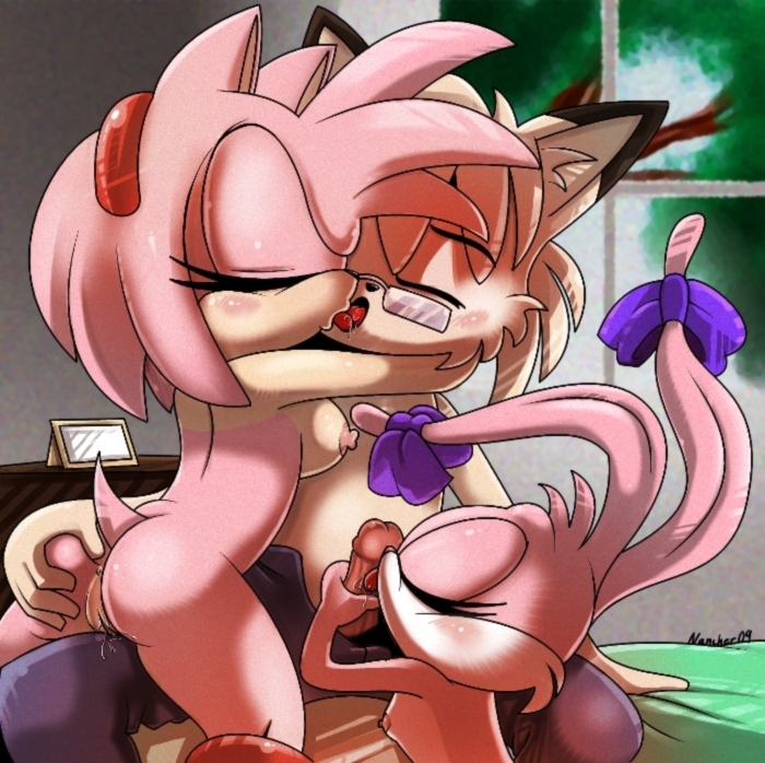 The Big ImageBoard (TBIB) - amy rose babs bunny crossover nancher sonic tea...