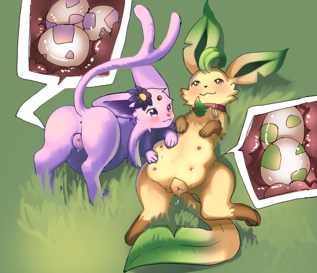 Eeveelutions Hentai