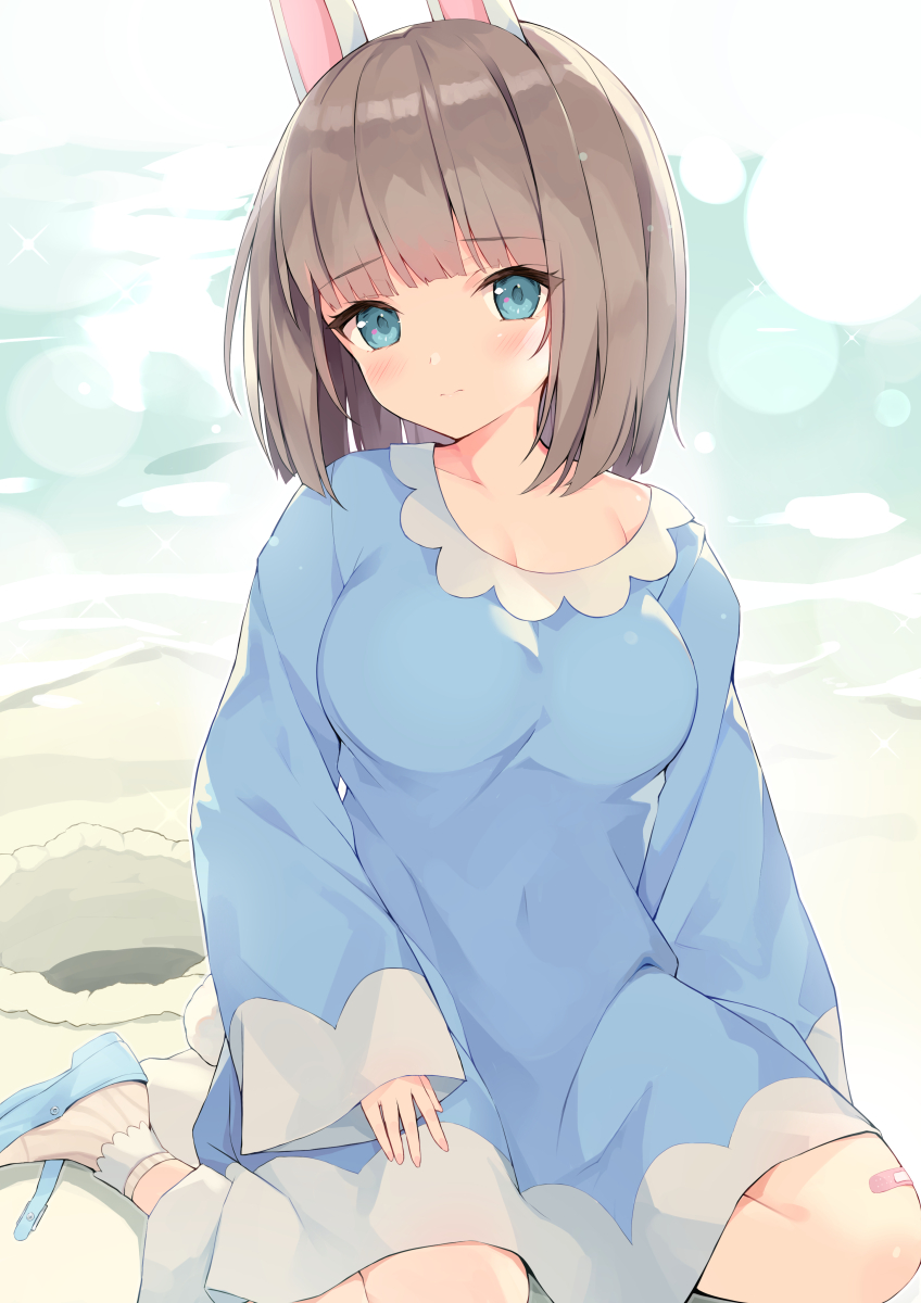 The Big ImageBoard (TBIB) - 1girl animal crossing animal ears ankle ...