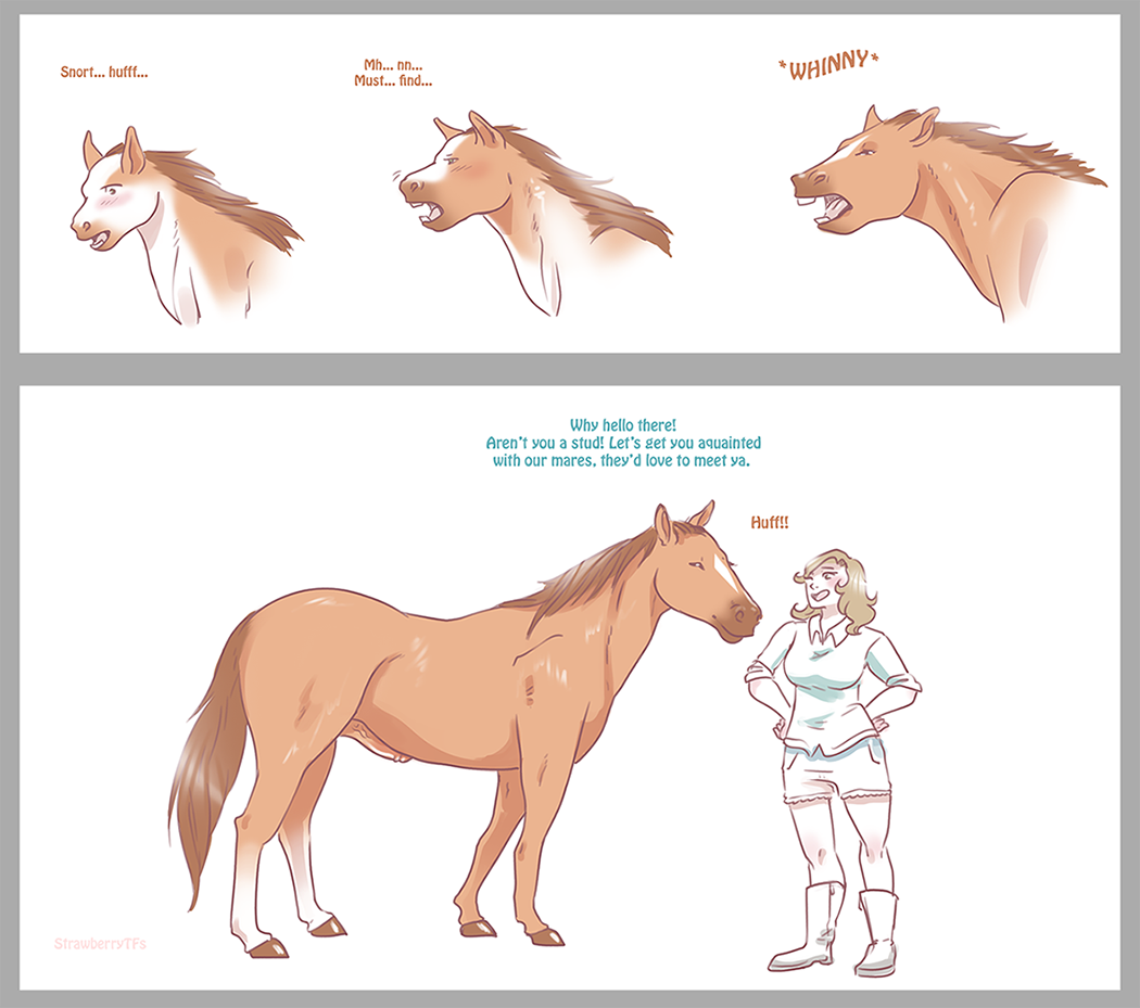 Mamabliss Horse Transformation