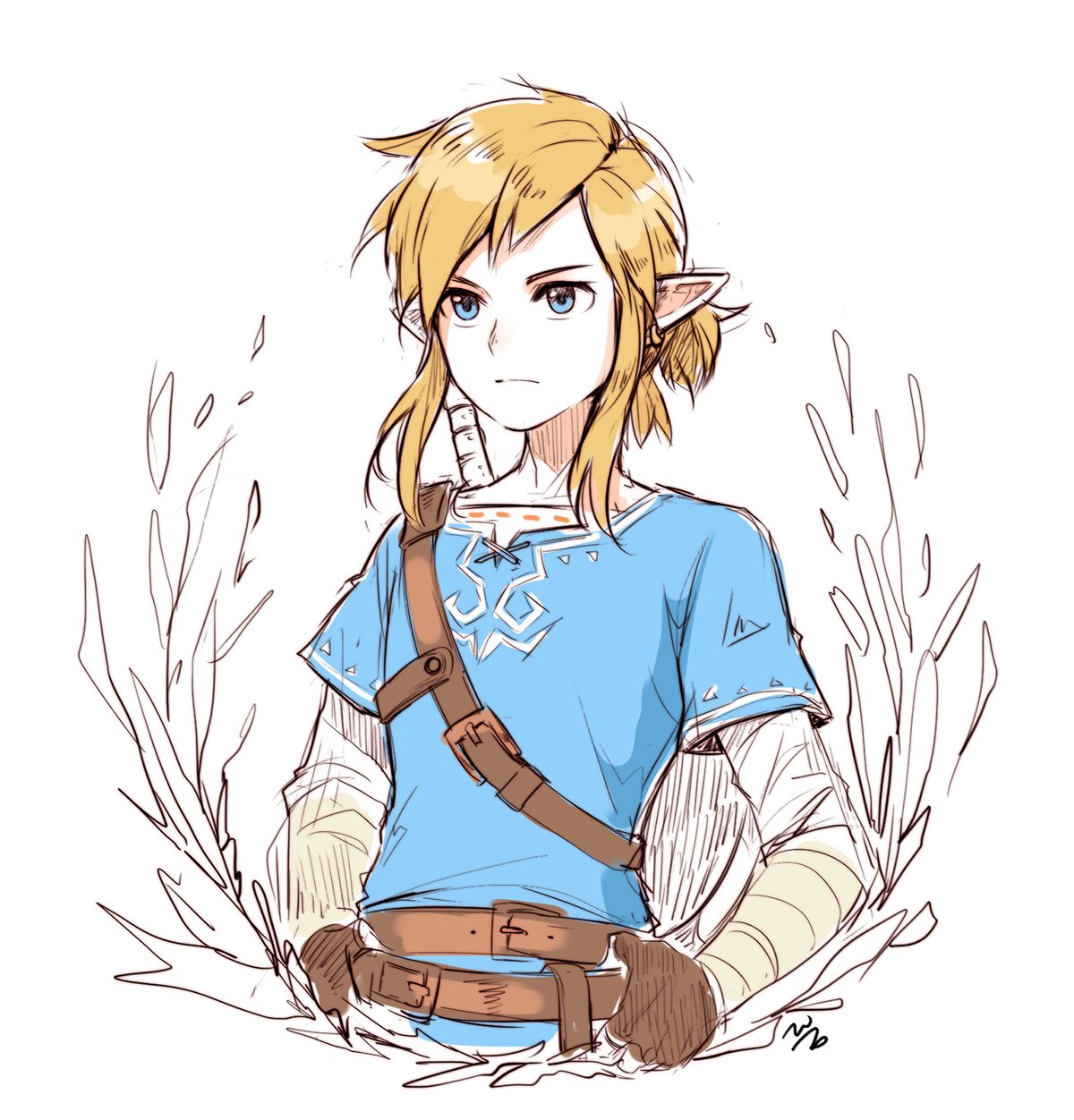Their link link. Линк Breath of the Wild. Линк Зельда Legend of Wild. Линк Легенда о Зельде Breath of the Wild. Линк и Зельда BOTW.