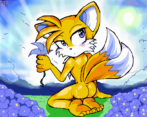 Miles Tails Prower Hentai
