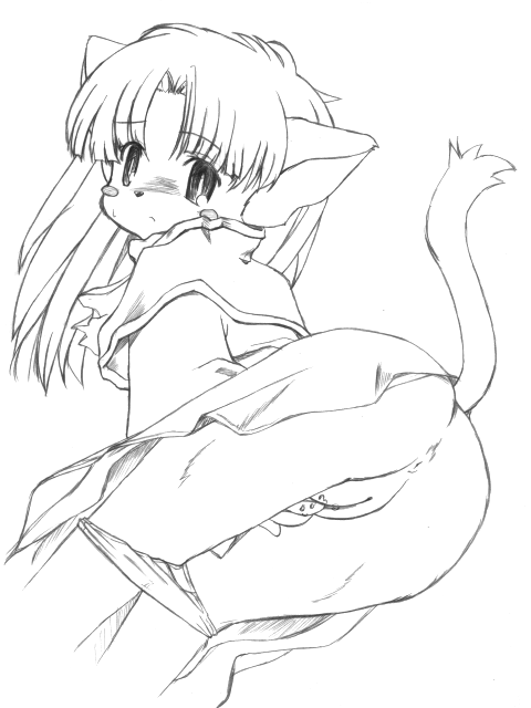 Tail Concerto Hentai