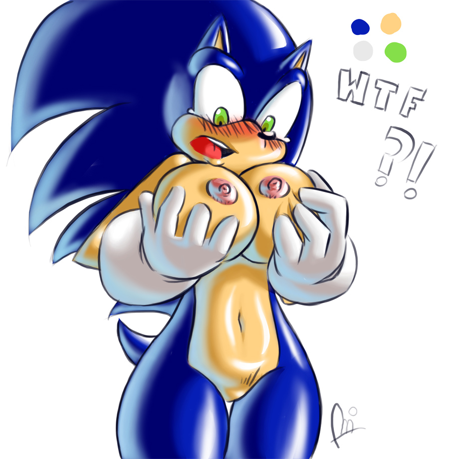 Sonic Rule 63 Hentai