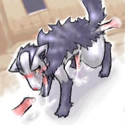 Mightyena Hentai