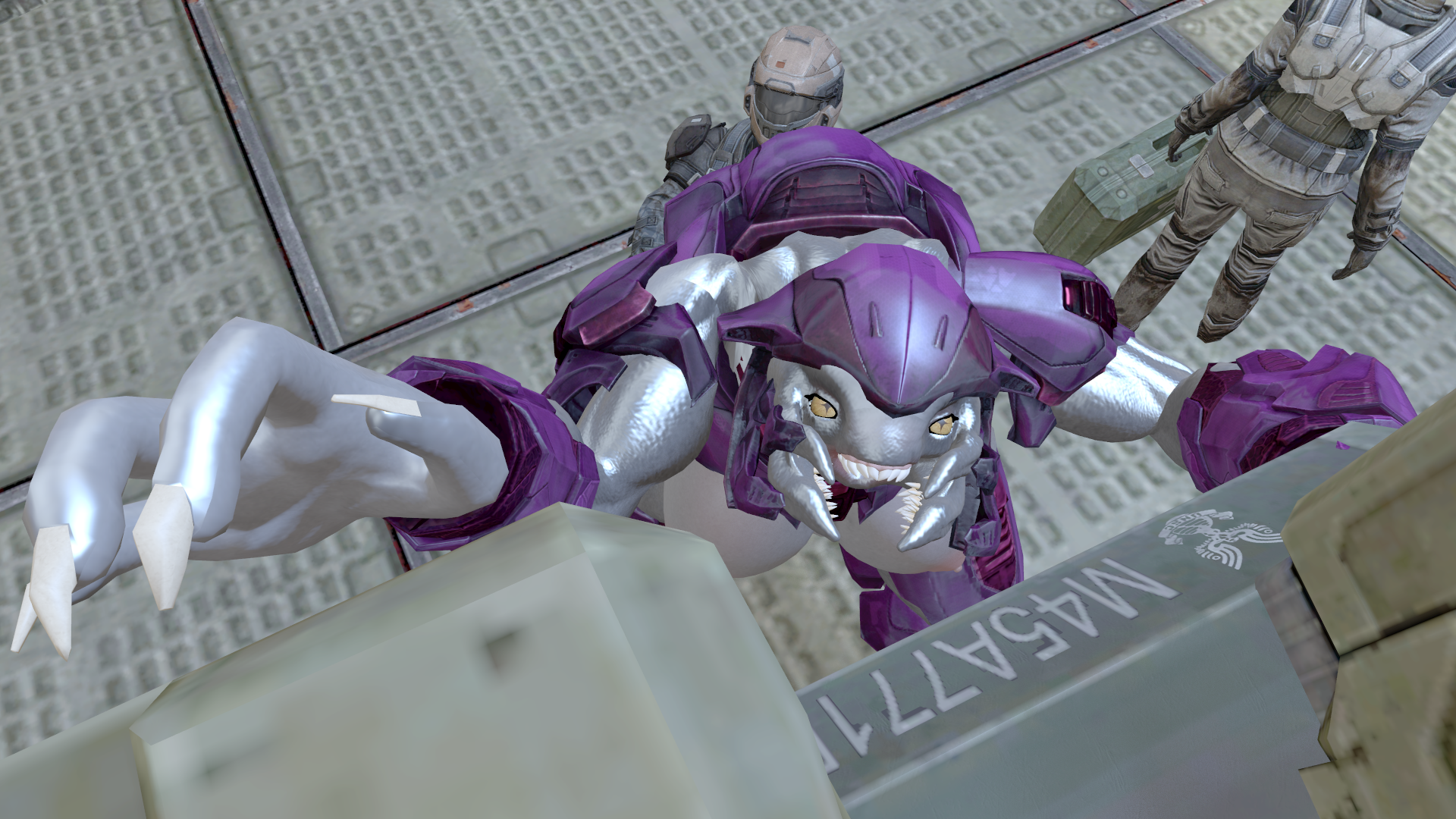 Halo r34. Хейло r34. Halo female Elite. Halo Sangheili female. SFM Halo Sangheili