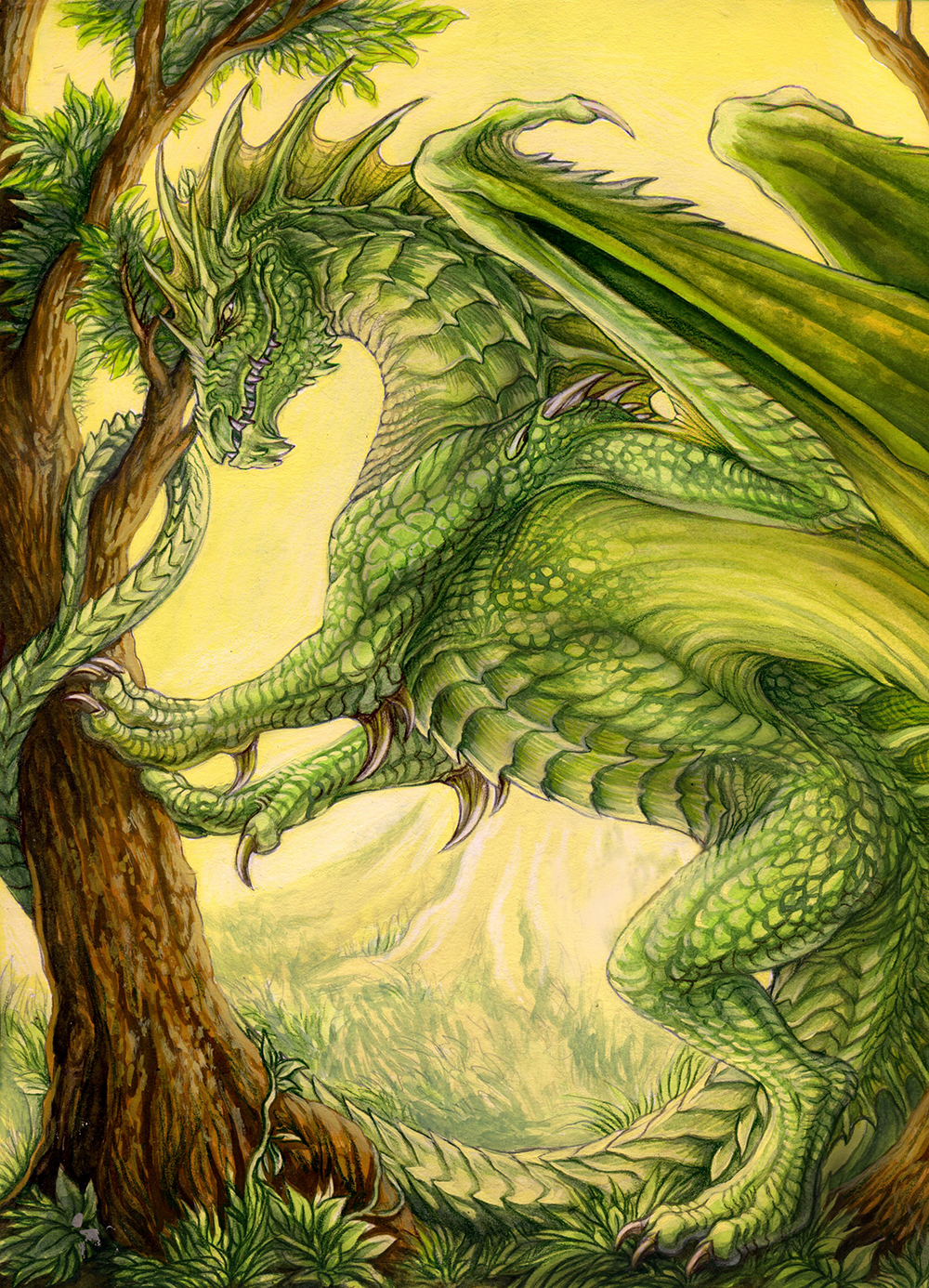 Год зеленого деревянного дракона. Брим зелёный дракон. Лесной дракон ДНД. Зеленый дракон кугурими. Земляной дракон.