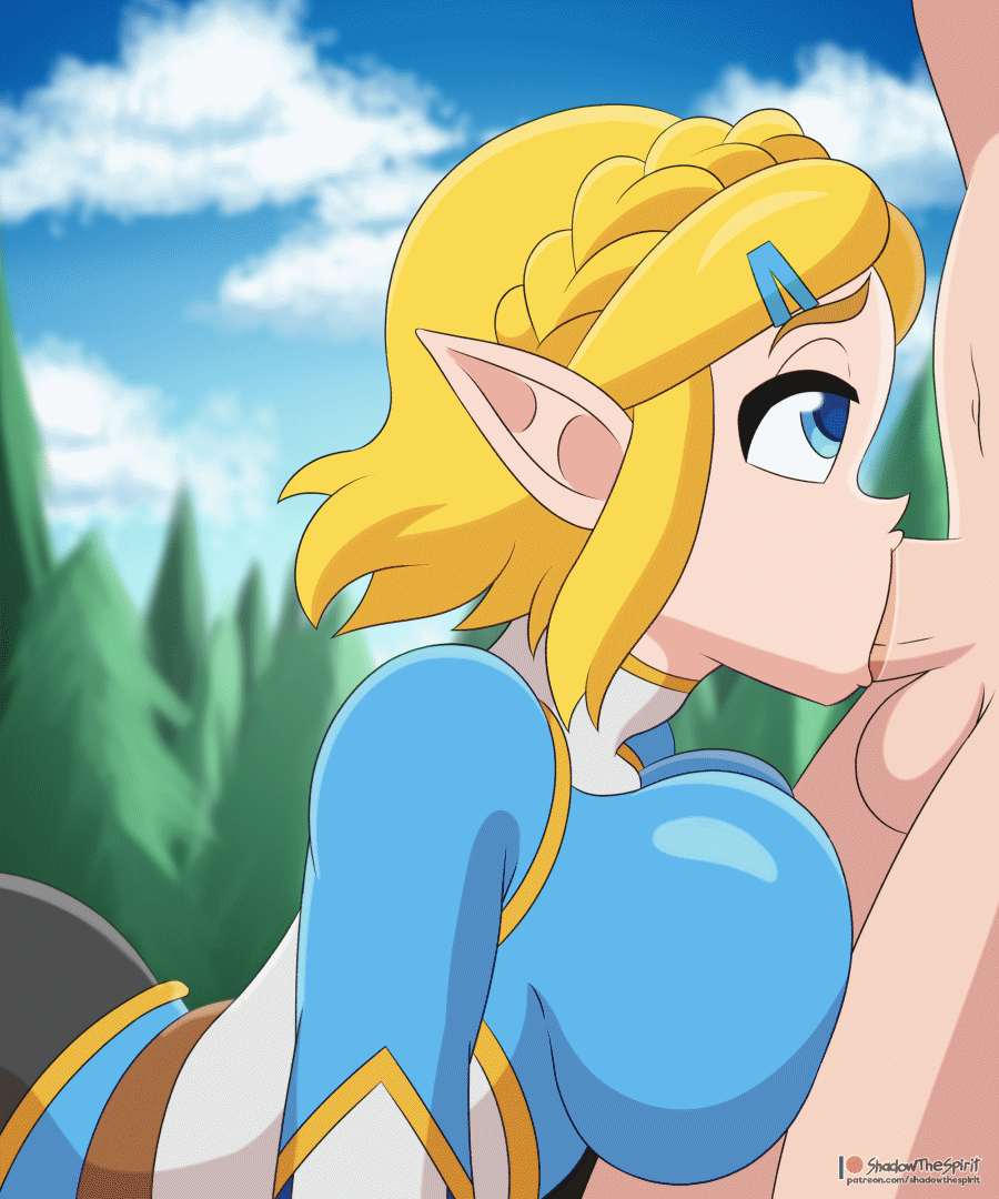 Zelda Gets Fucked