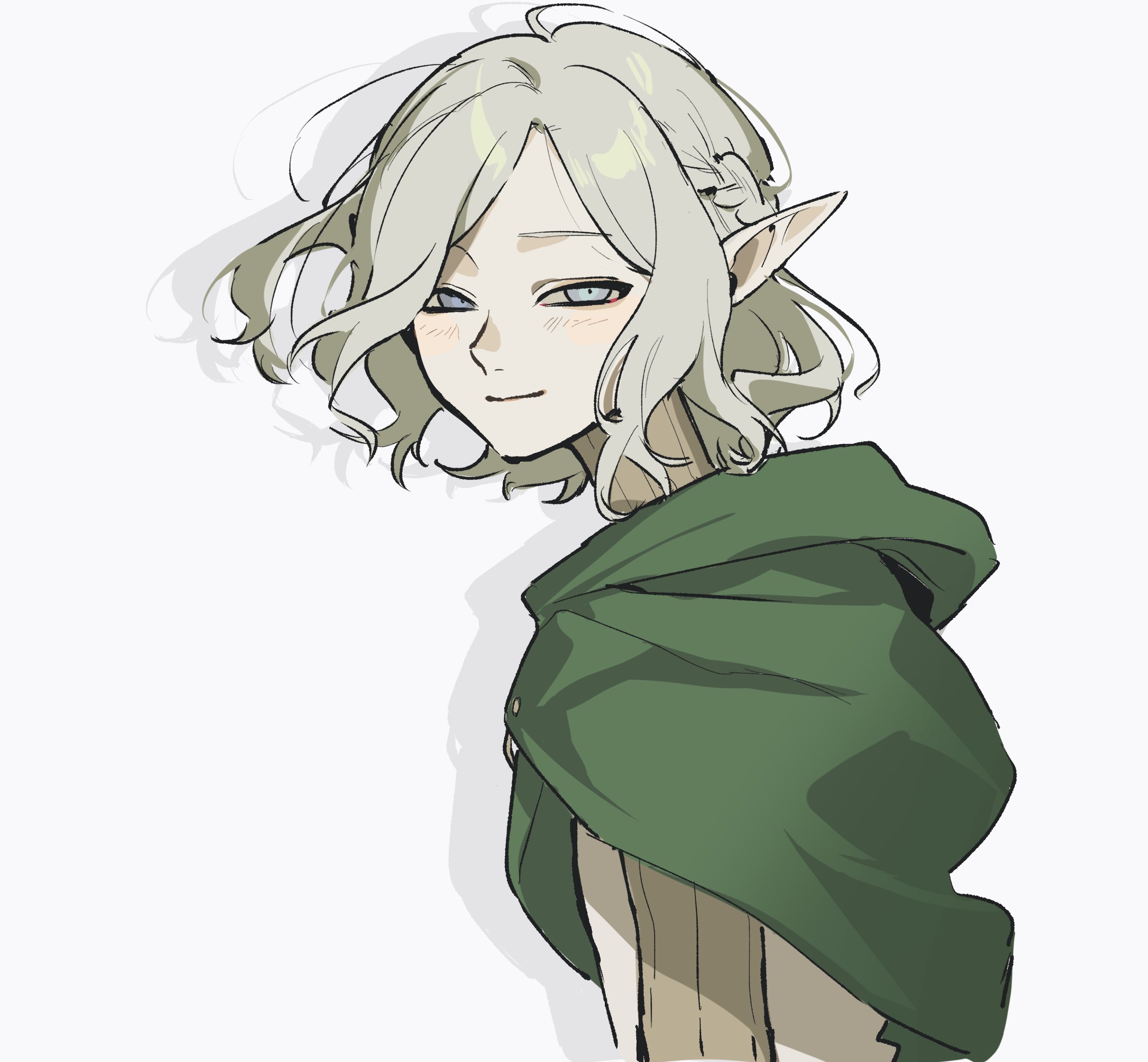 Mithrun Elf The Big ImageBoard (TBIB) - 1boy blush braid cloak dungeon meshi elf ...