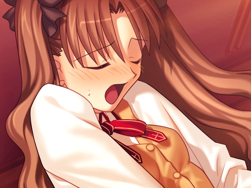 Ehentai Fate Stay Night