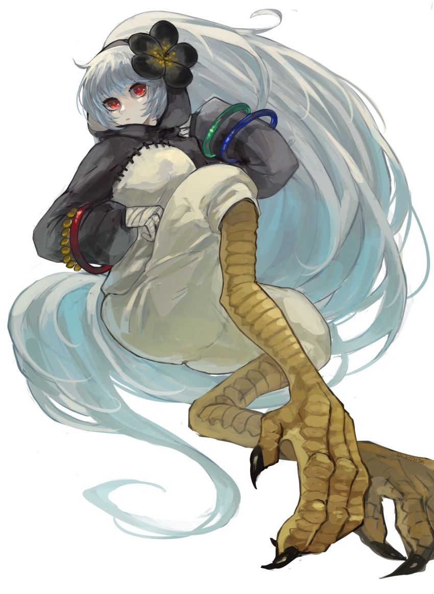 Химера хуманизация. Mge драконица. Маленькие монстры девушки. Mge jabberwock. Аниме драгон герл.