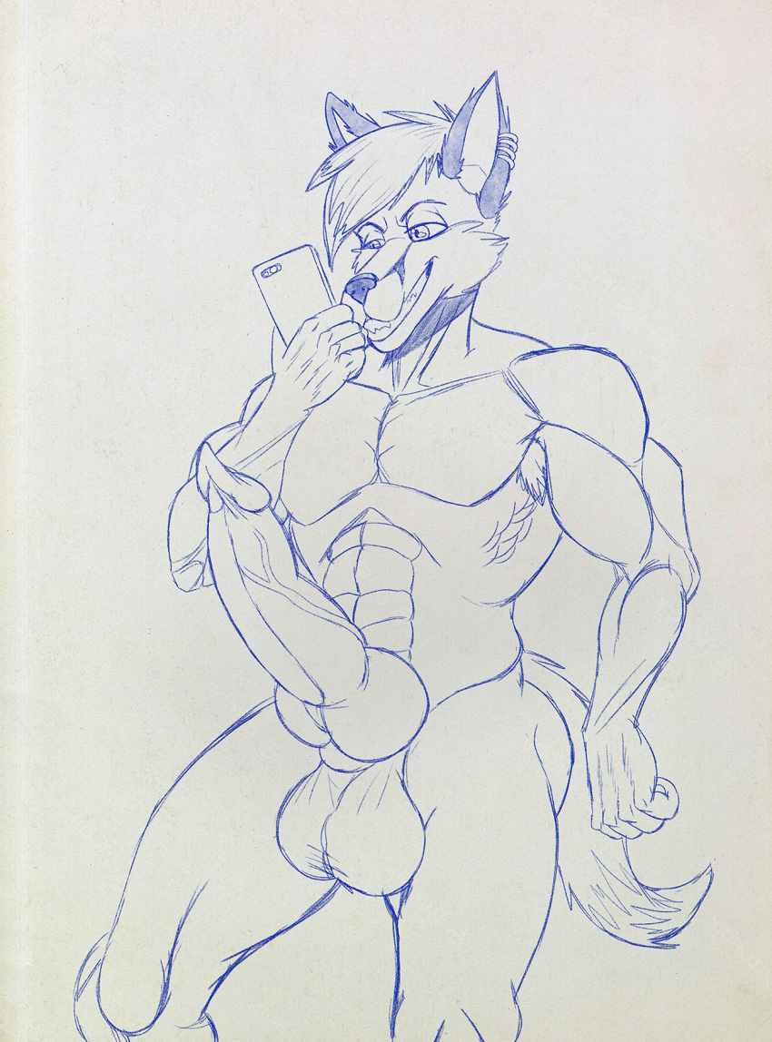 anthro arctic_fox athletic body_hair canid canine dick_pic edgy erection fa...