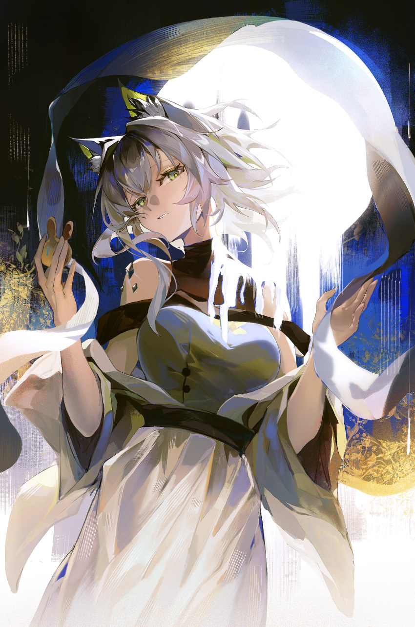 The Big ImageBoard (TBIB) 1girl absurdres animal ear fluff animal