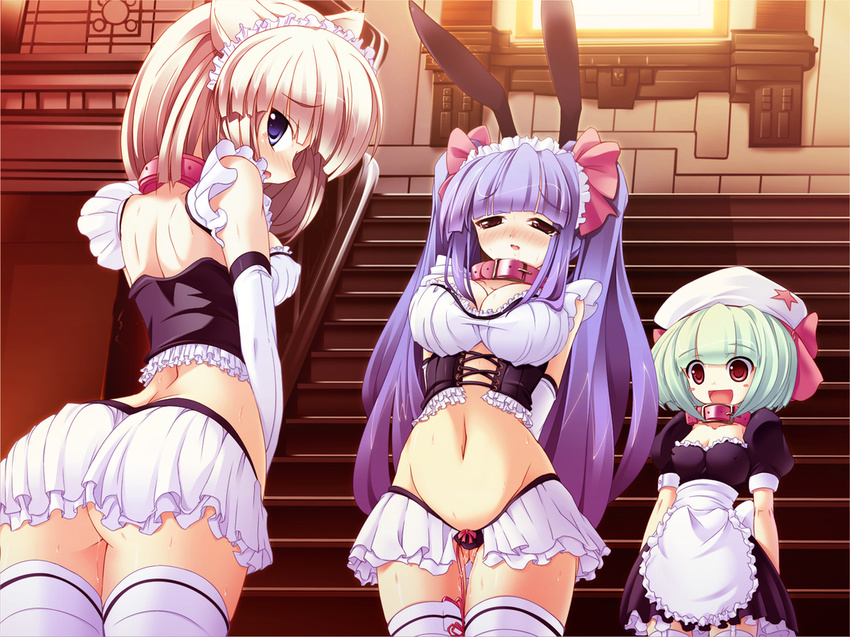 Vibrator shorts bgg maid
