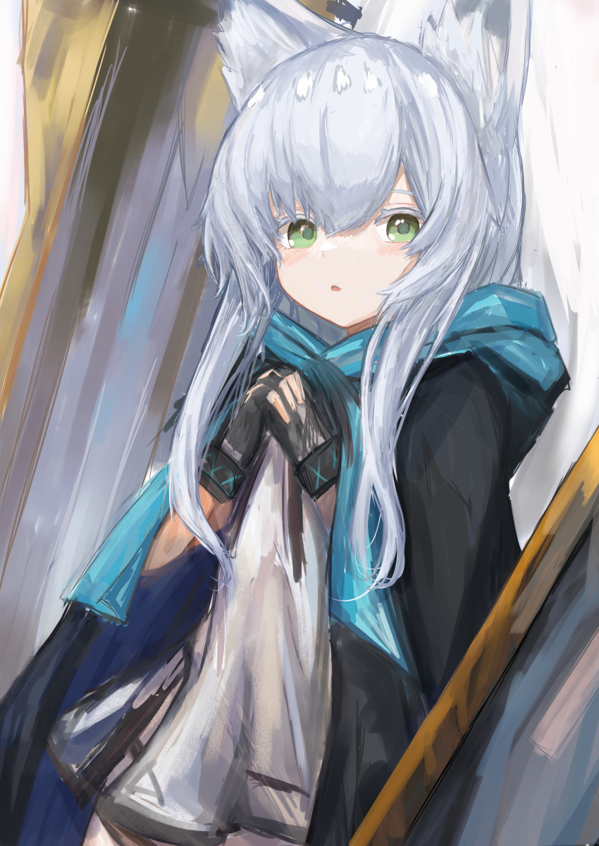 The Big ImageBoard (TBIB) 1girl absurdres animal ear fluff animal