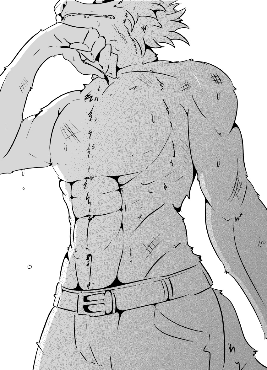 The Big ImageBoard (TBIB) - abs absurd res anthro beastars bodily ...