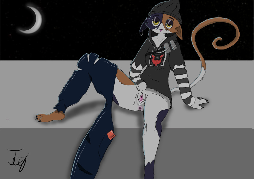 Lets Meow Meow Hentai
