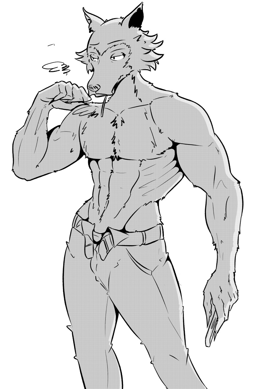 The Big ImageBoard (TBIB) - abs absurd res anthro beastars canid canine ...