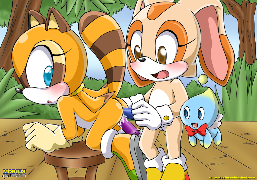Sonic And Cream Hentai