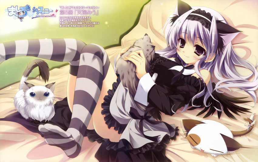 Anime cat girl pictures
