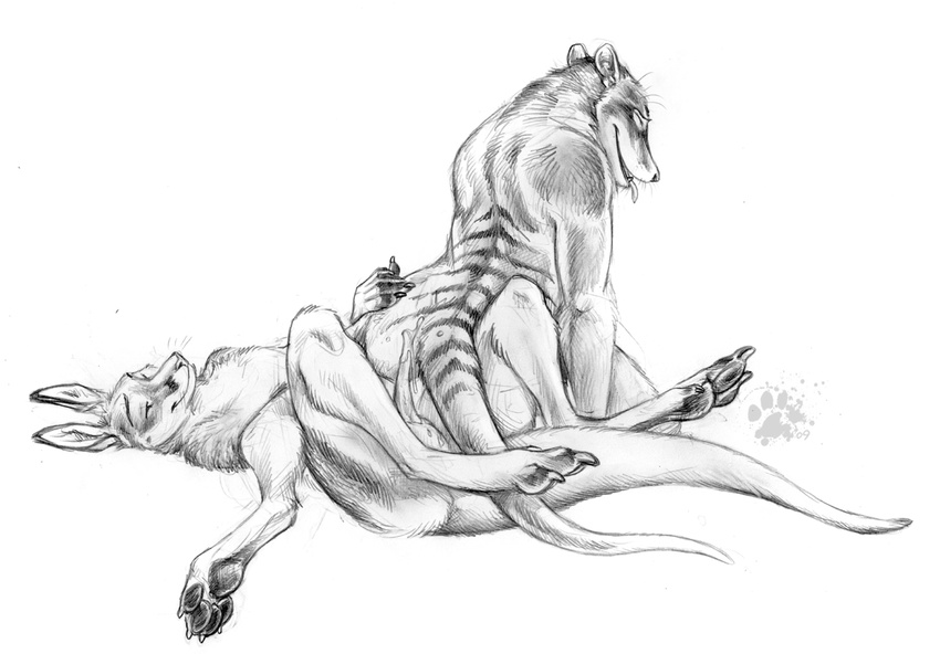 Kangaroo Hentai