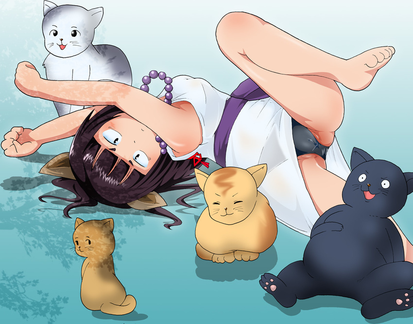 Hatomame Gelbooru
