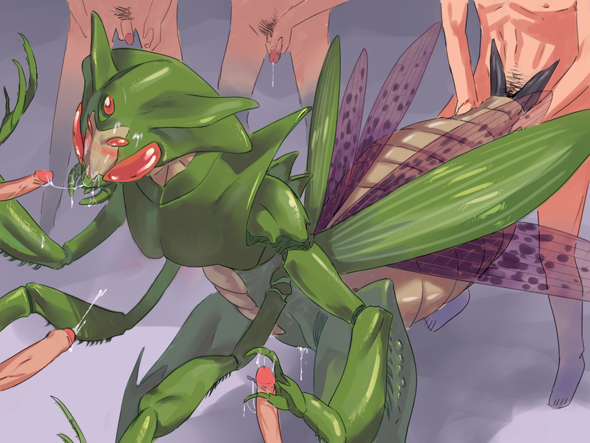Anime erotic alien bugs