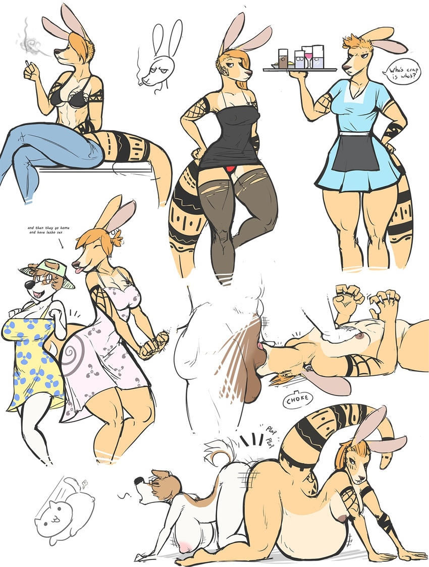 Kangaroo Hentai