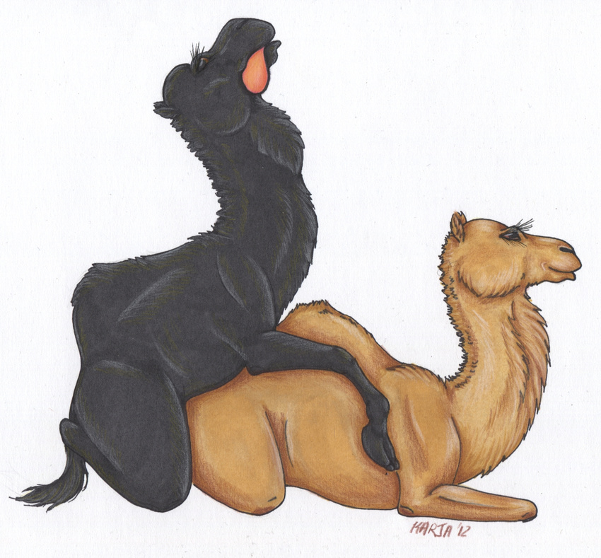 Bdsm camel - 🧡 Animals and girls - Page 2 - Misc - 3DXChat Community.