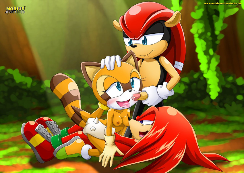 group group_sex knuckles_the_echidna male marine_the_raccoon mighty_the_arm...