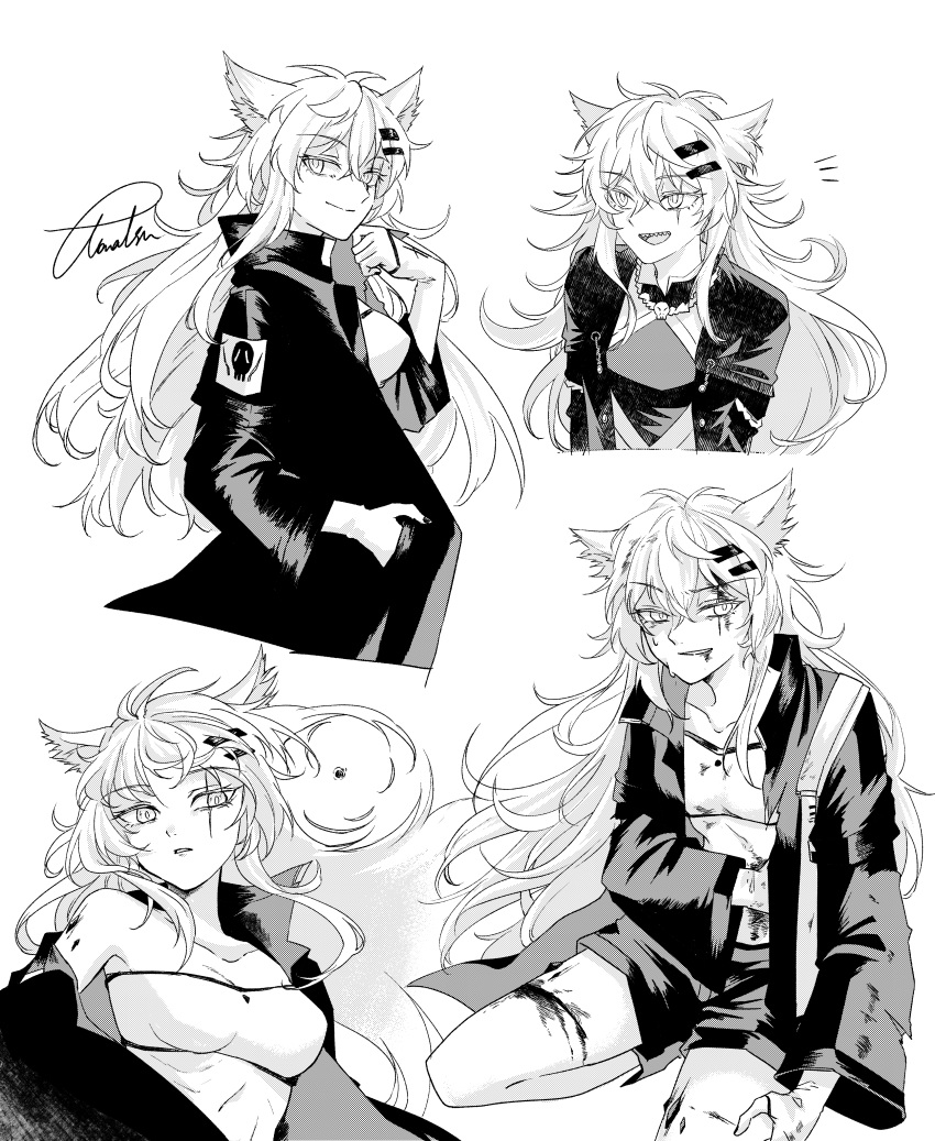 The Big ImageBoard (TBIB) 1girl d absurdres animal ears arknights