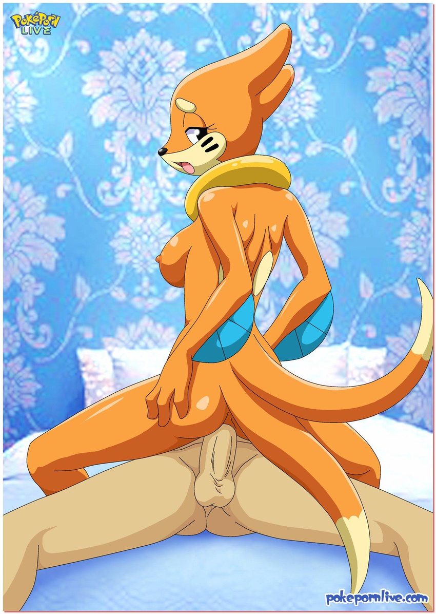 anthrofied balls bbmbbf bed bedroom breasts buizel female human human_on_an...