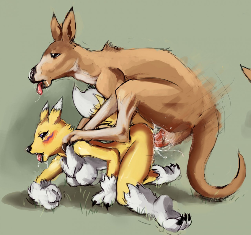 ...canine cum digimon digitigrade drooling erection female feral fox from_b...