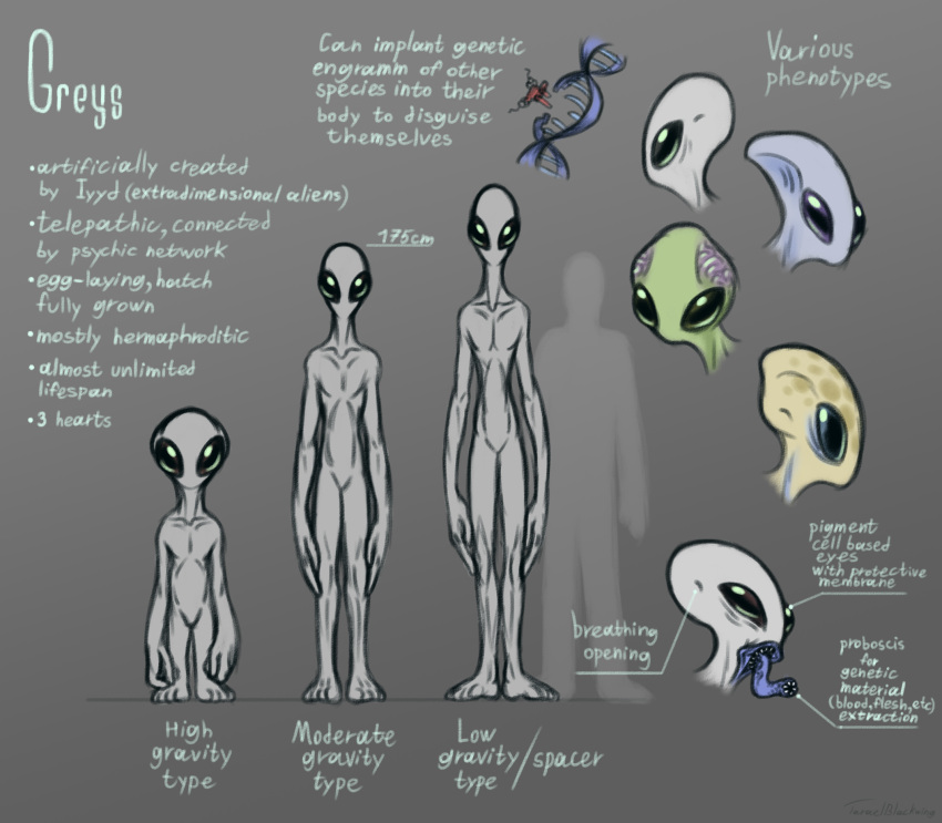 The Big ImageBoard (TBIB) - alien alien humanoid ambiguous gender big ...